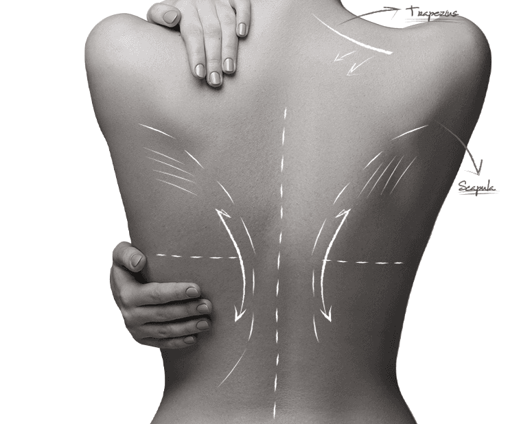 U&U Care Center physical therapy — posture correction and manual therapy for the back and shoulders