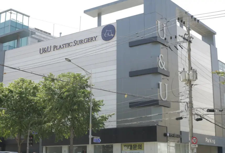 Apgujeong Breast Surgery Clinics: The Misconception That the Surgeon's Reviews Are All You Need — 본문 이미지