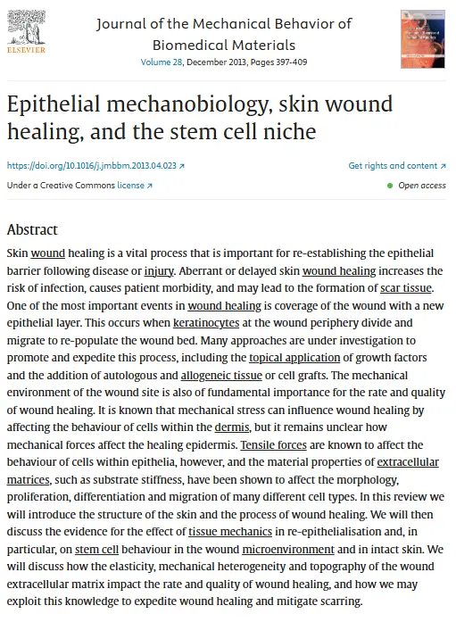 Breast Feel After Surgery and How Scarring Changes It? Facts Proven in the Research — 본문 이미지