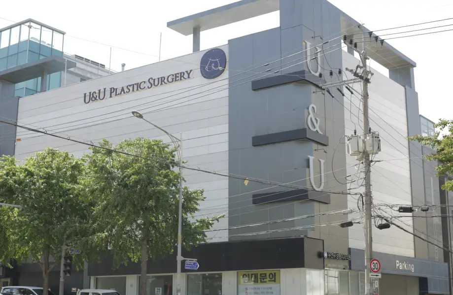 Breast Revision Surgery: Timing, Pain, Recovery? Advice Based on 20 Years of Research — 본문 이미지