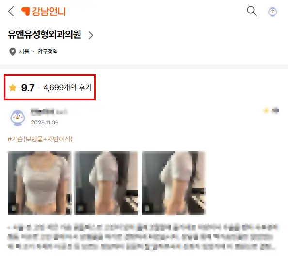 Apgujeong Breast Surgery Clinics: The Misconception That the Surgeon's Reviews Are All You Need — 본문 이미지