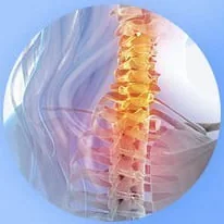 Heat-lamp massage image