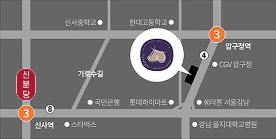 Map to U&U Plastic Surgery Clinic — Garosu-gil, near Apgujeong and Sinsa stations