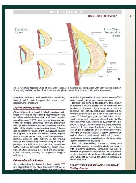 Body of the paper published in Clinics in Plastic Surgery — diagram of the 3D BTP Space