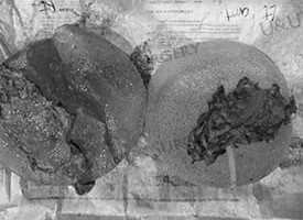The removed capsule and implant laid side by side