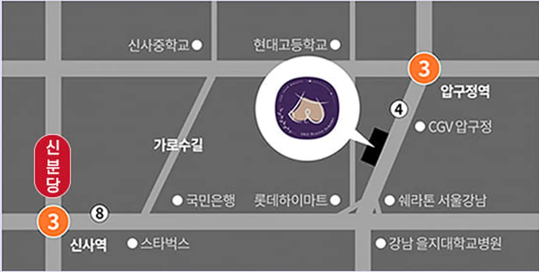 Map to U&U Plastic Surgery Clinic — Garosu-gil, near Apgujeong and Sinsa stations