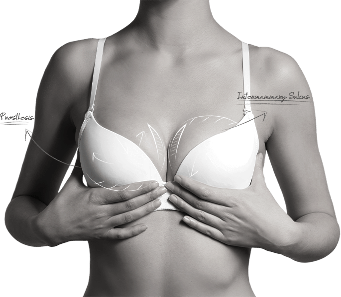 happy breast bra education img1